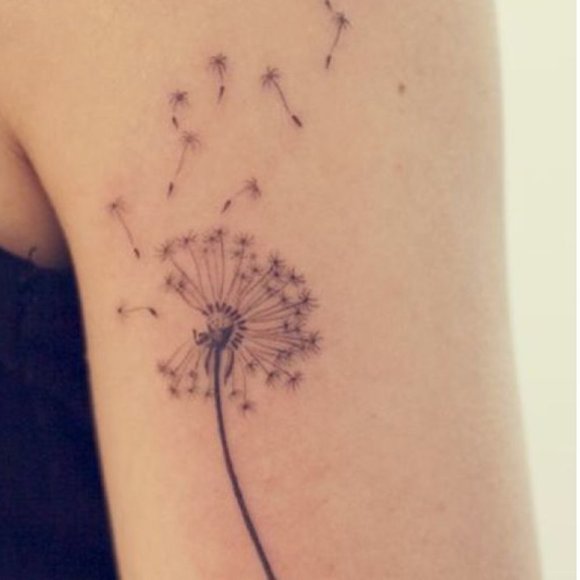 Meet your Posher, Jodi - Picture 1 of 1